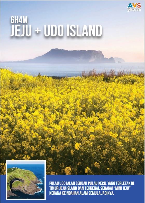 6H4M Jeju + Udo Island